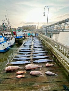 chartered fishing trip galveston